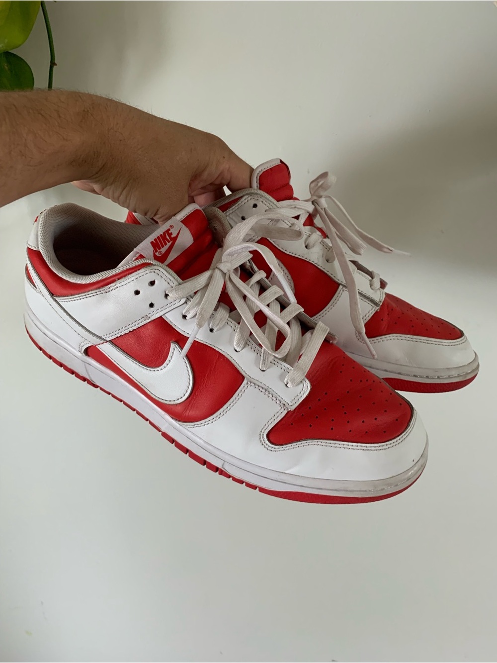 Nike Championship Red Dunk Low